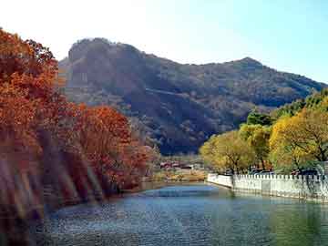 管家婆免费正版资起大全，洗发水批发市场